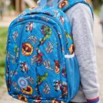 School & Collage bag